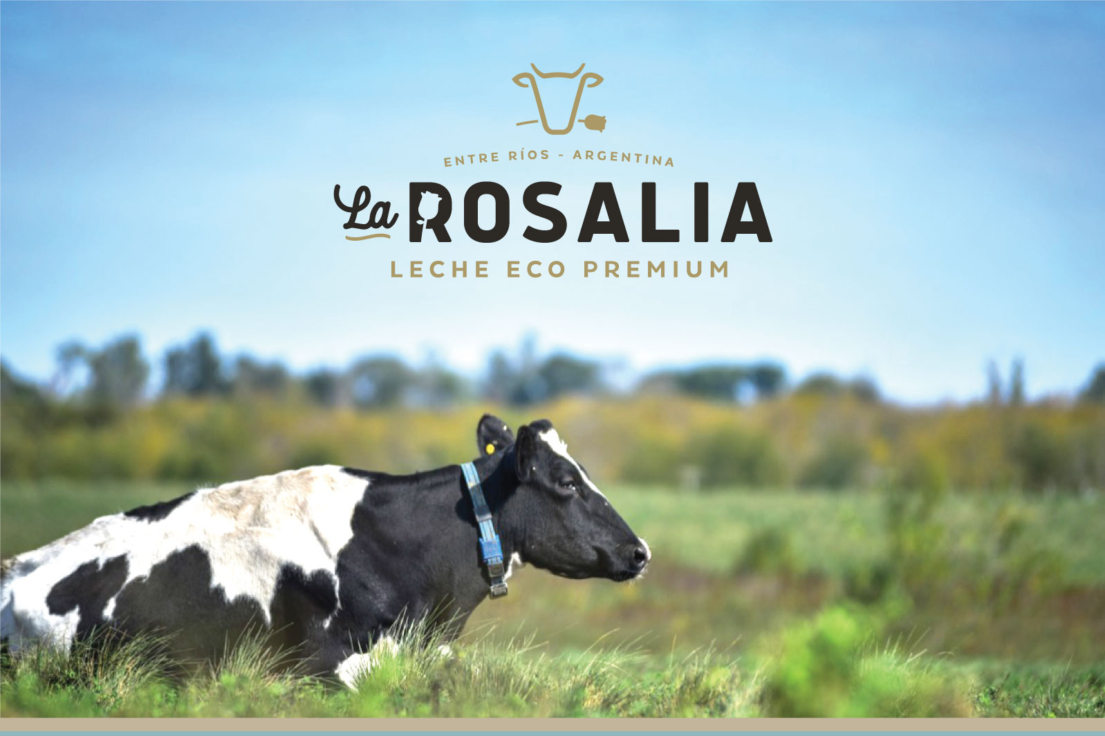 Rosalia